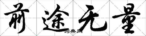 前途無量意思|前途无量